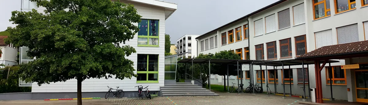 Solo Recital - Ivan Bašić and Friends